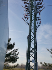 20161208_104741 (Custom)
