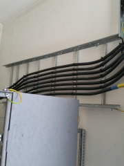 20170201_095041 (Custom)